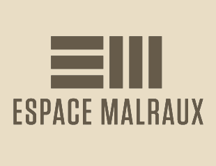 logo espace malraux