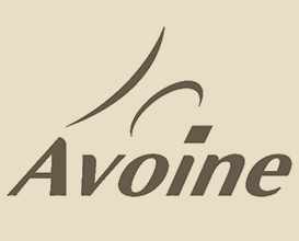 logo ville d'Avoine